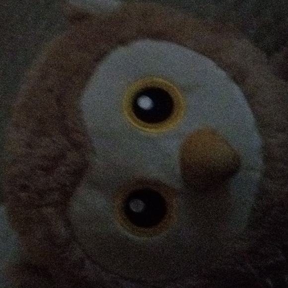 A stuff owl 🦉 - Picture 4 of 5